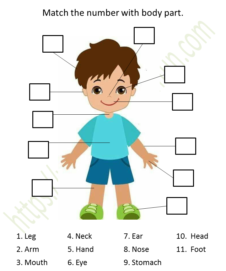 Environmental Science Preschool Matching Body Parts Worksheet 2